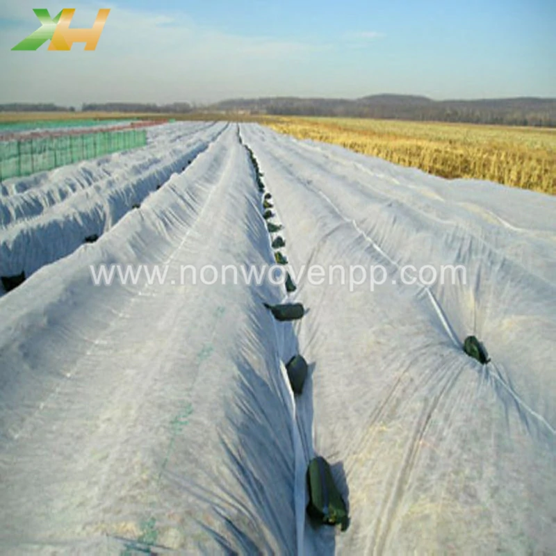 pp spunbond non woven